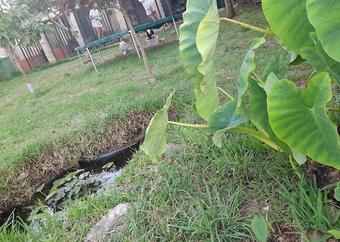 La Casa De Las Ranas